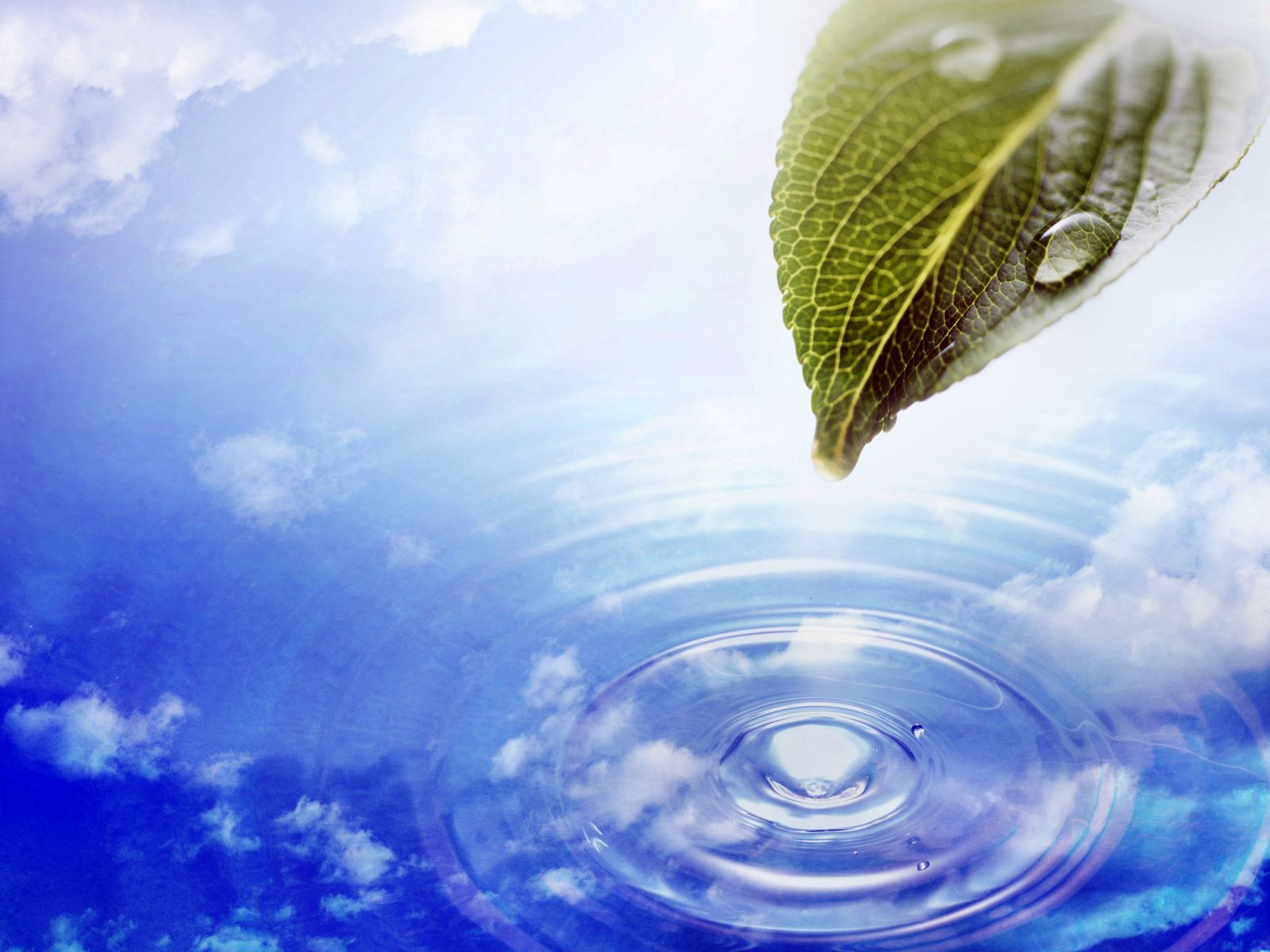 Animated Wallpapers for Windows 7 (45 images)